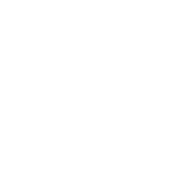 Toronto Concierge Chiropractic